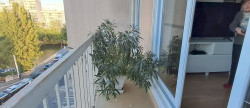 vente Appartement Villeneuve La Garenne