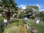 vente Maison Douzy