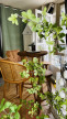 vente Appartement Dinard