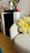 vente Appartement Dinard