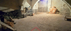 vente Maison de maître Saint Hilaire Saint Mesmin