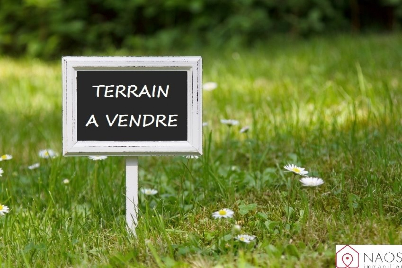 vente Terrain La Chapelle D'armentieres