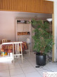 vente Appartement Meudon La Foret