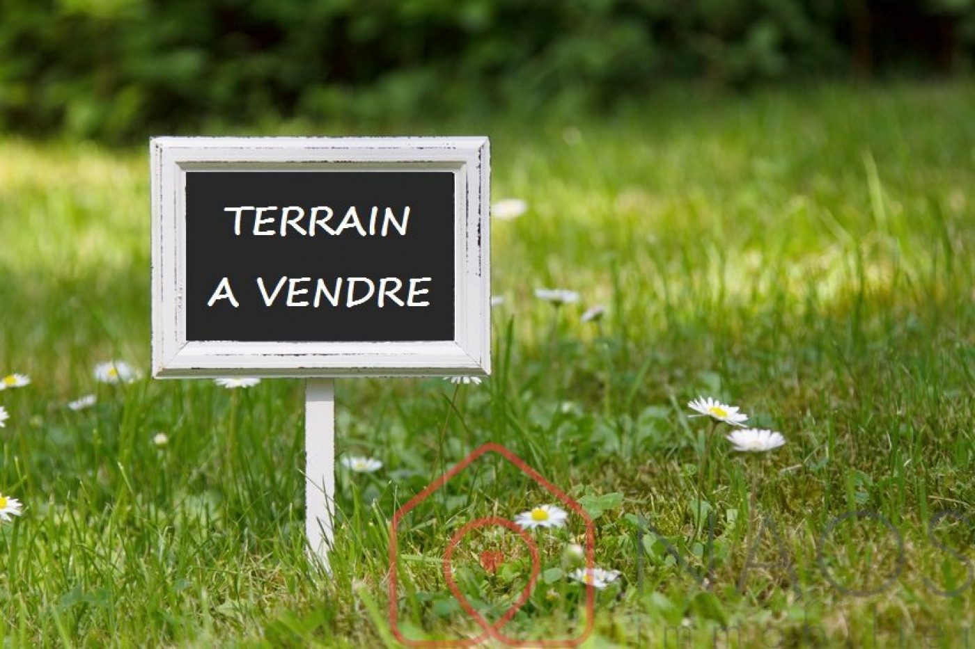 vente Terrain constructible Fontenay Sur Loing