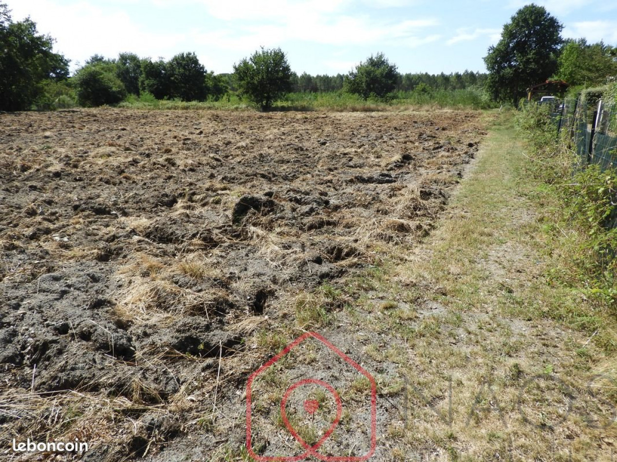 vente Terrain Parentis En Born - Photo 3