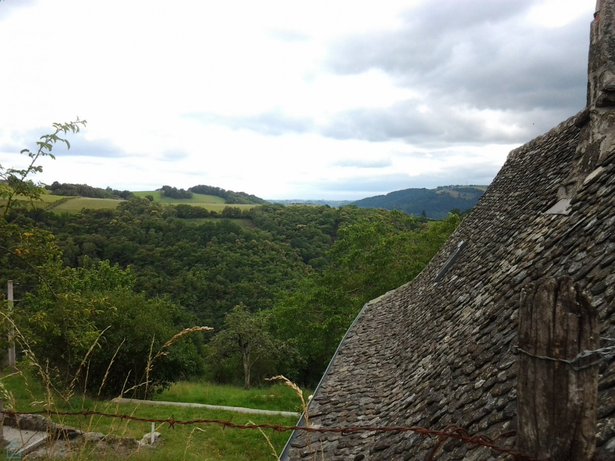 vente Mas Entraygues Sur Truyere - Photo 3