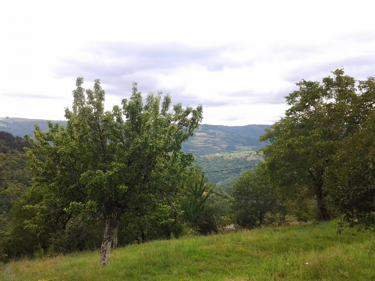 vente Mas Entraygues Sur Truyere - Photo 9