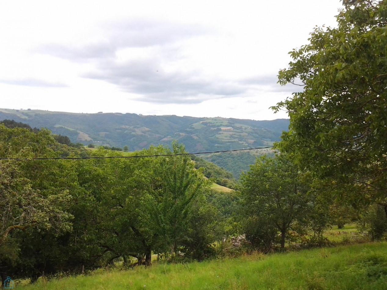 vente Mas Entraygues Sur Truyere - Photo 15