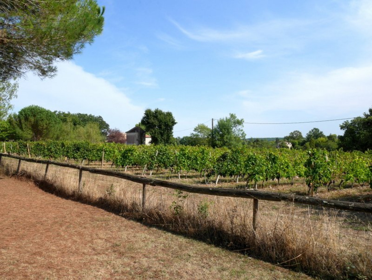 vente Propriété Monbazillac - Photo 15