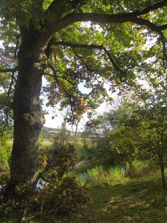 vente Maison Baud - Photo 17