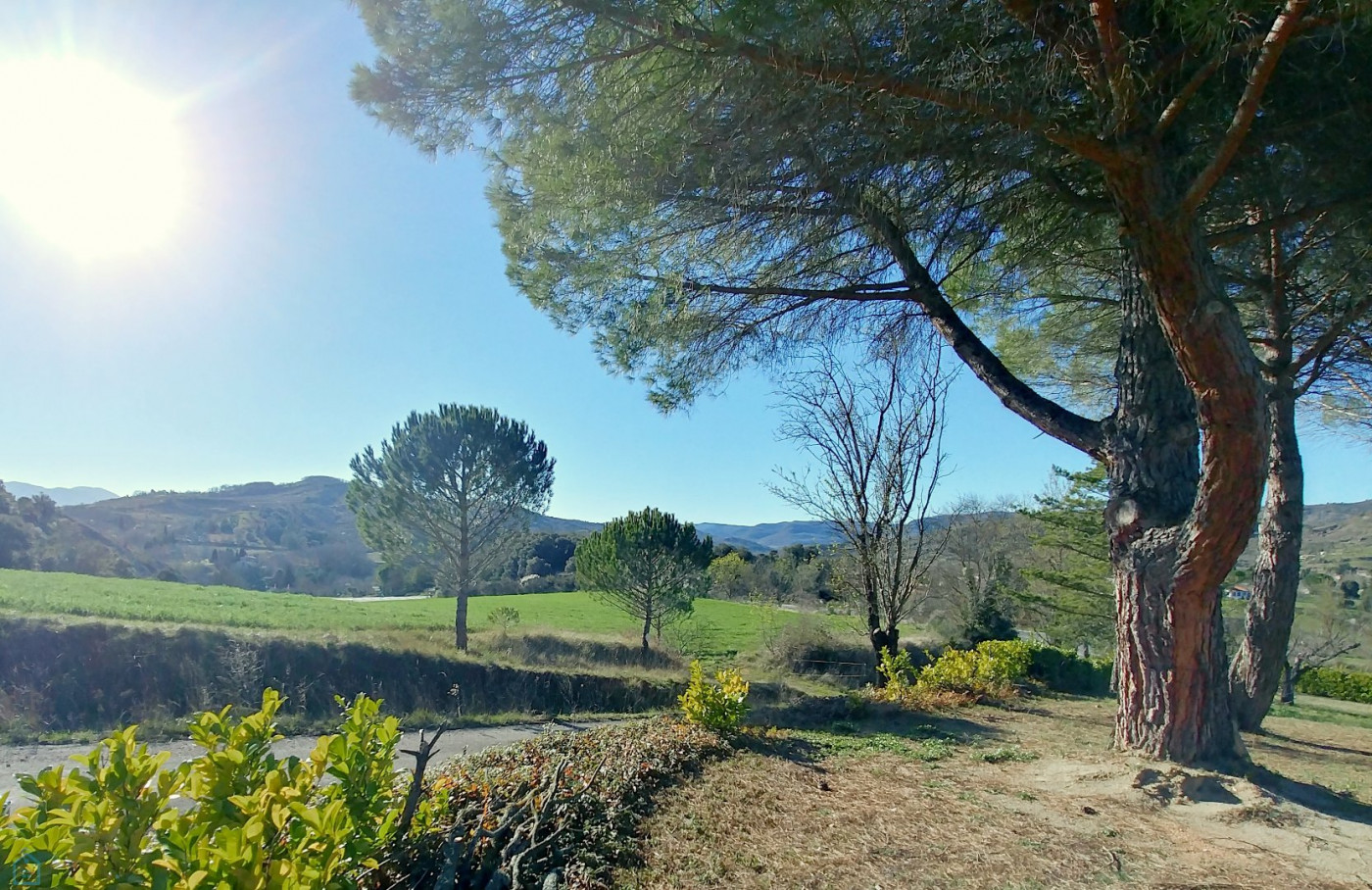 vente Maison individuelle Esperaza - Photo 14