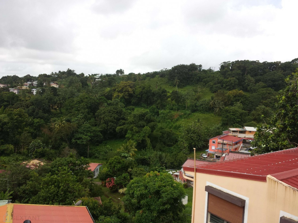 vente Maison rénovée Morne Des Esses - Photo 8