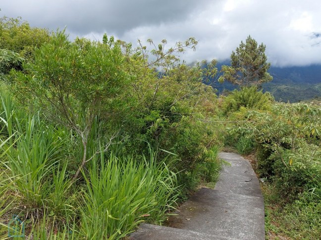 vente Terrain constructible Cilaos - Photo 2