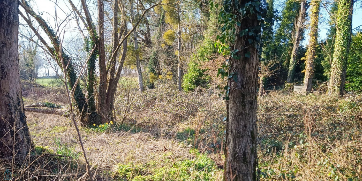 vente Maison de campagne Plumieux - Photo 12