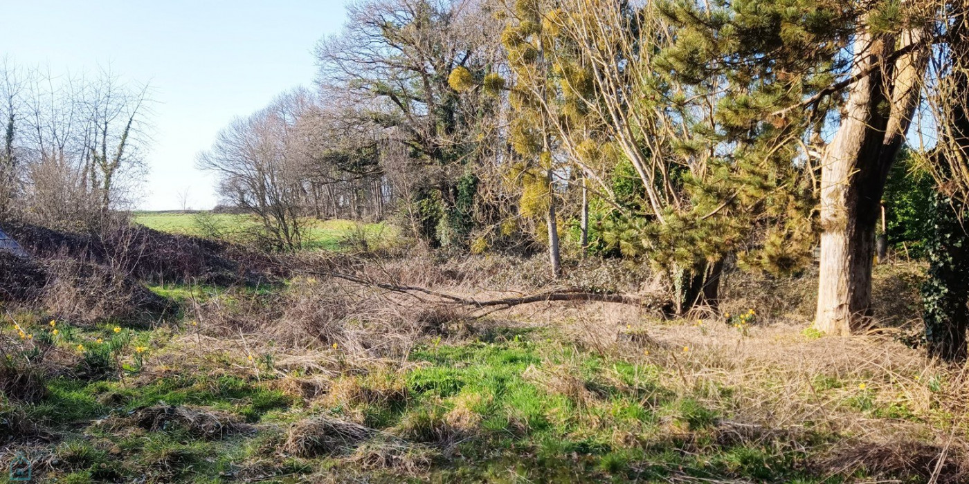 vente Maison de campagne Plumieux - Photo 13