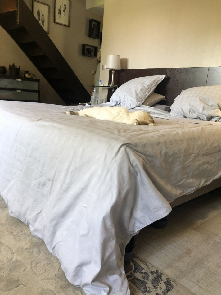 vente Maison Houdan - Photo 6