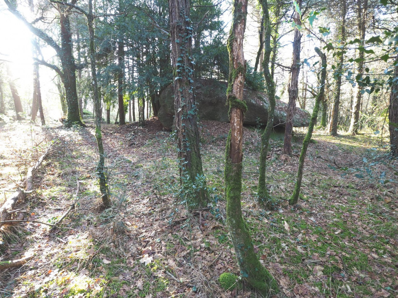 vente Terrain Plumelin - Photo 12