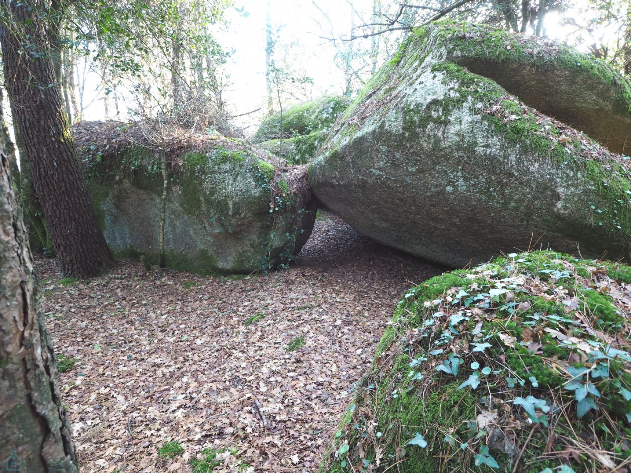 vente Terrain Plumelin - Photo 13