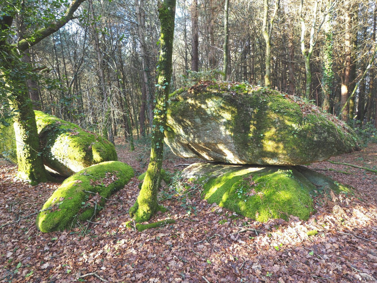 vente Terrain Plumelin - Photo 17