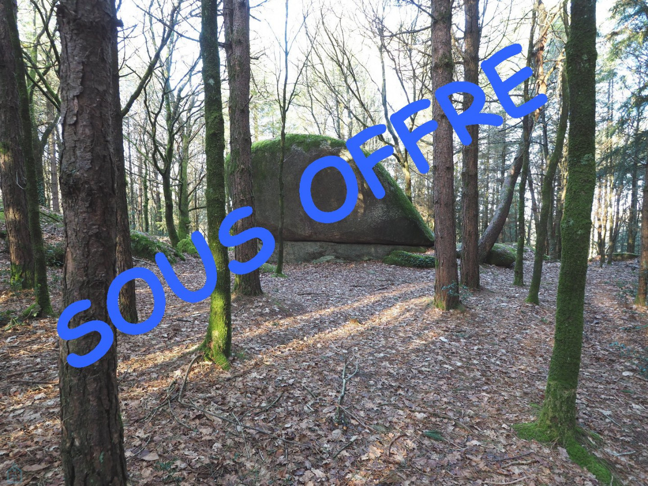 vente Terrain Plumelin - Photo 2