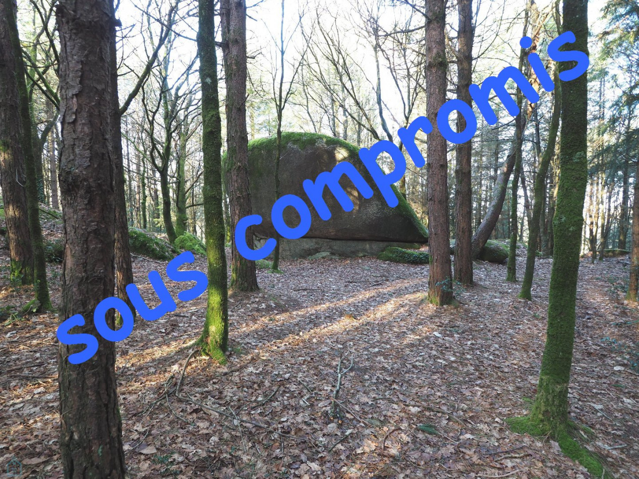 vente Terrain Plumelin - Photo 1