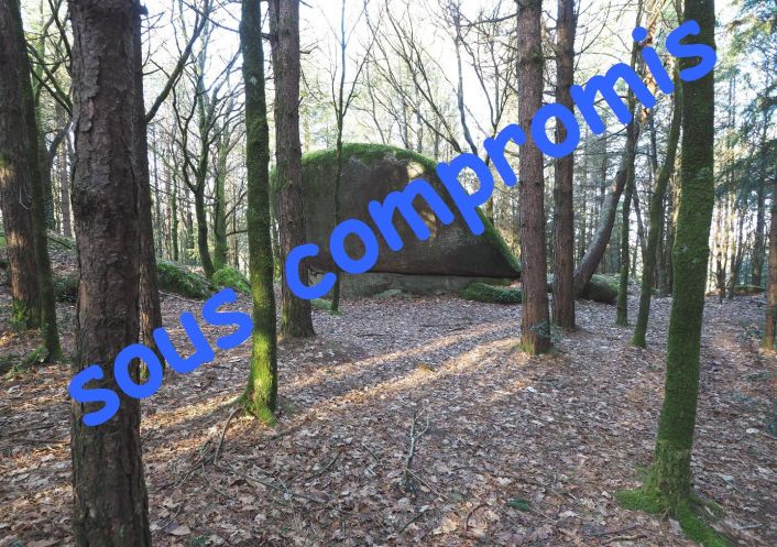 vente Terrain Plumelin