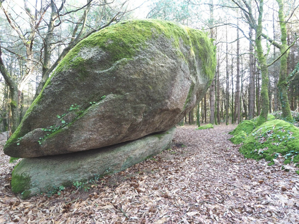 vente Terrain Plumelin - Photo 6