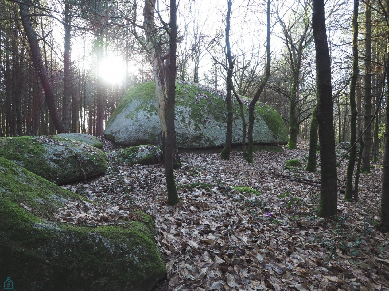 vente Terrain Plumelin - Photo 7