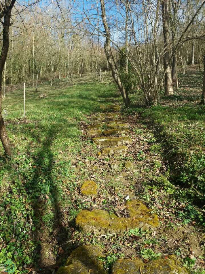 vente Maison de village Dommiers - Photo 13