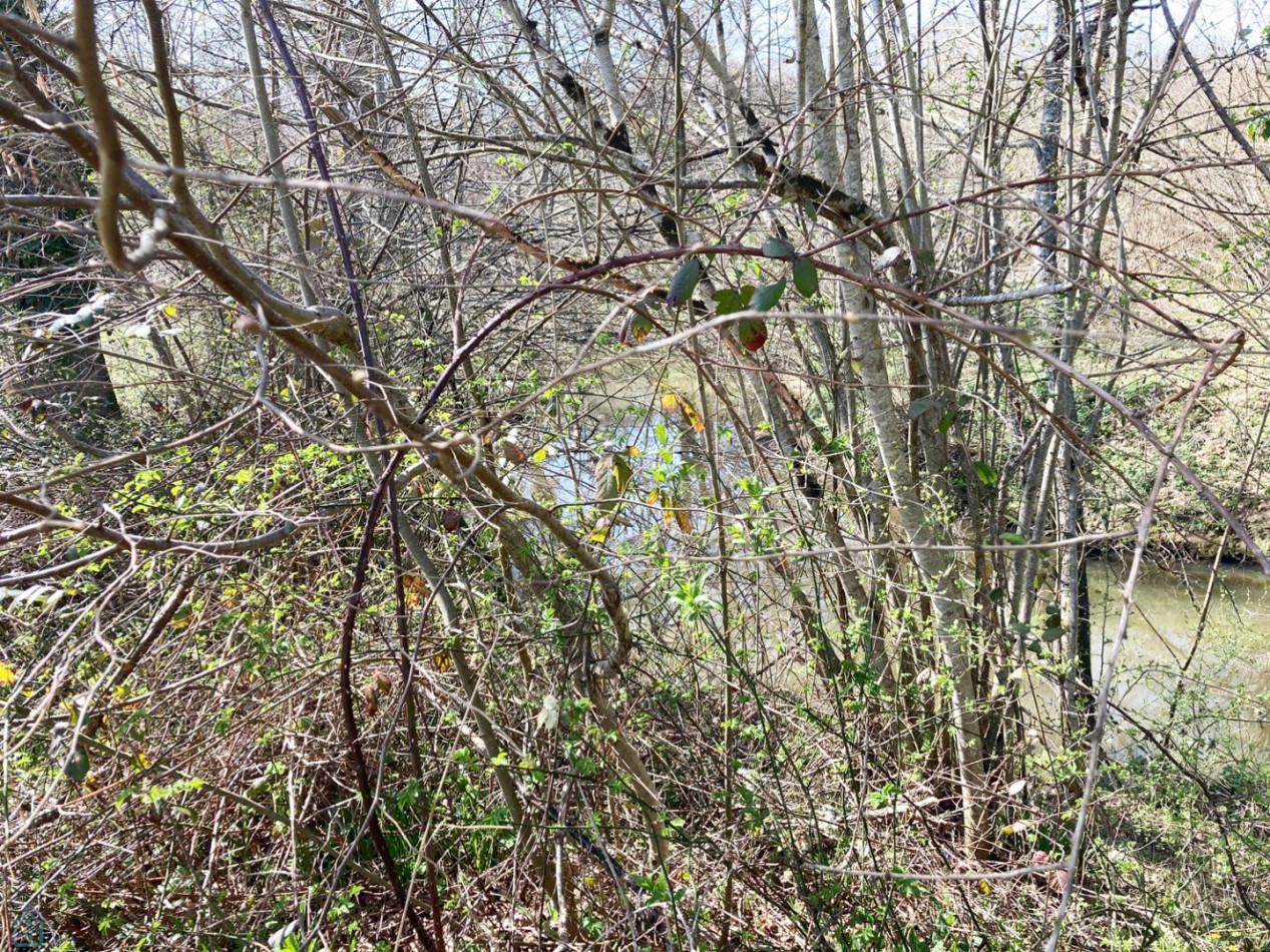 vente Corps de ferme Luchapt - Photo 5