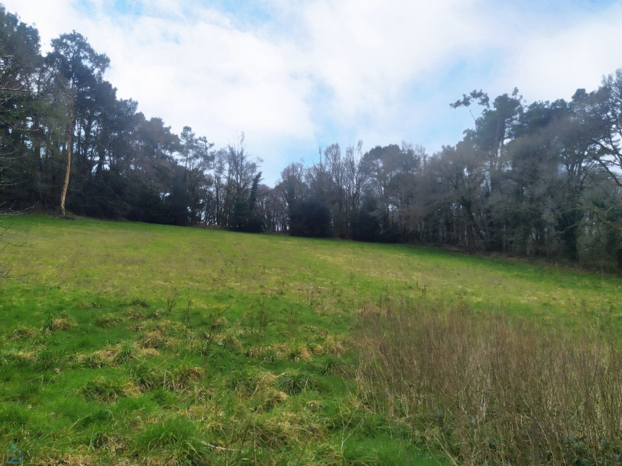 vente Longere Lanvaudan - Photo 21