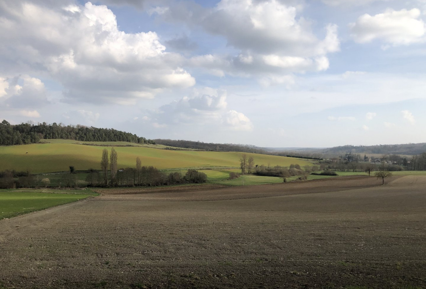 vente Ferme Combiers - Photo 2