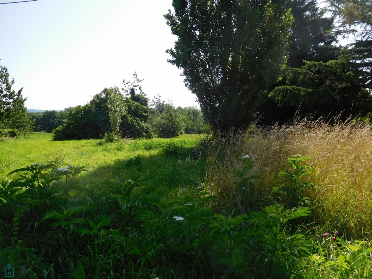 vente Longere Chevanceaux - Photo 4