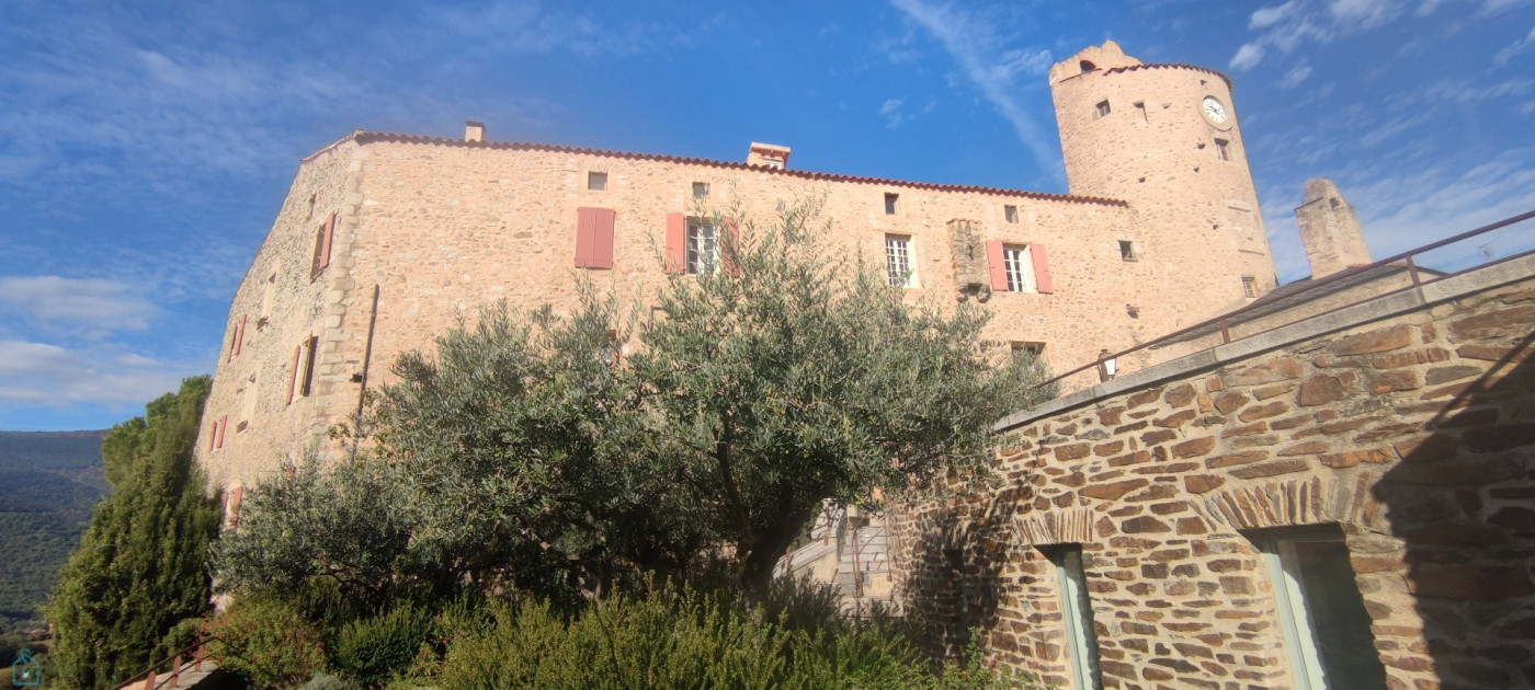 vente Maison de caractère Molitg Les Bains - Photo 1