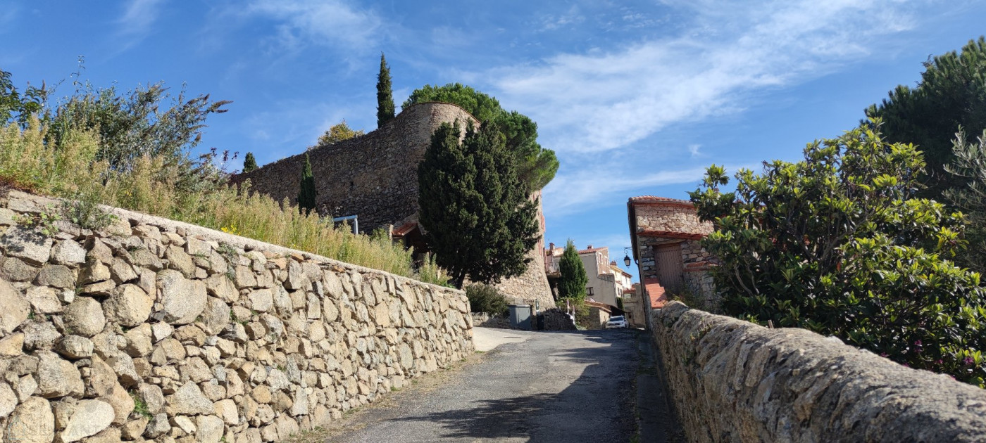 vente Maison de caractère Molitg Les Bains - Photo 12