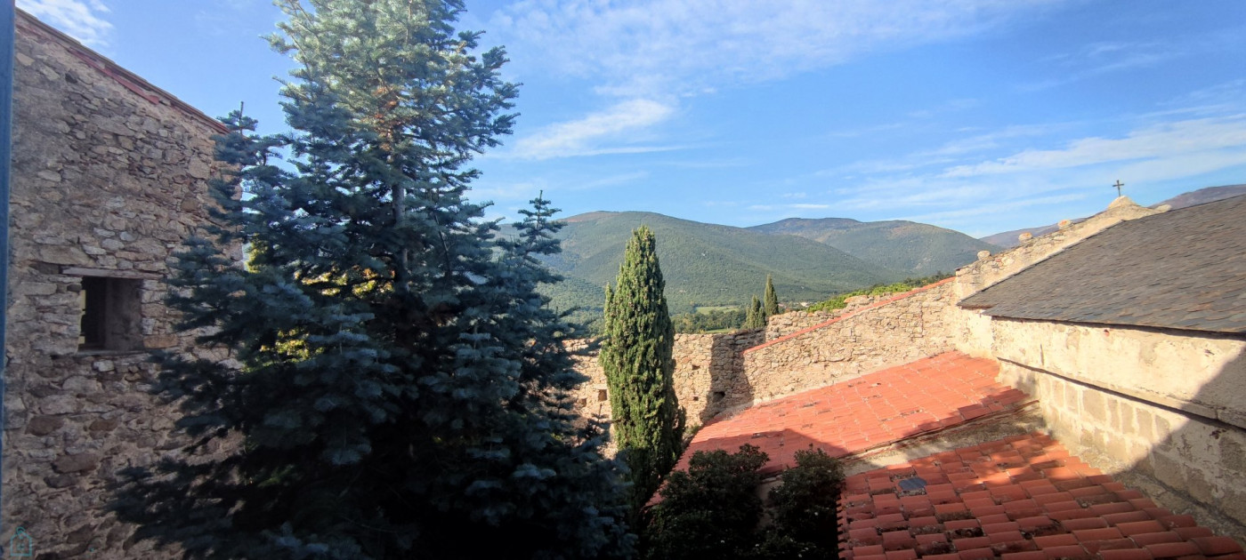 vente Maison de caractère Molitg Les Bains - Photo 21