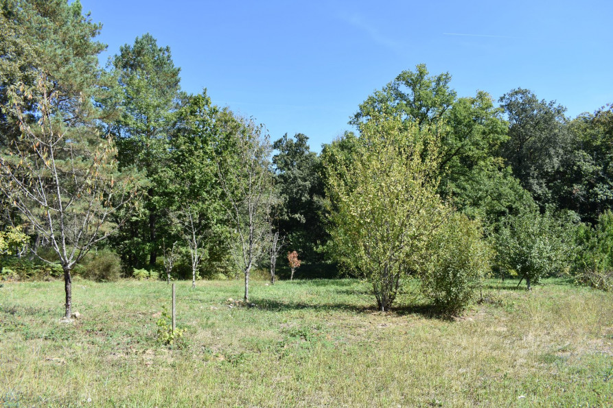 vente Propriété Rouffignac Saint Cernin De Reilhac - Photo 9