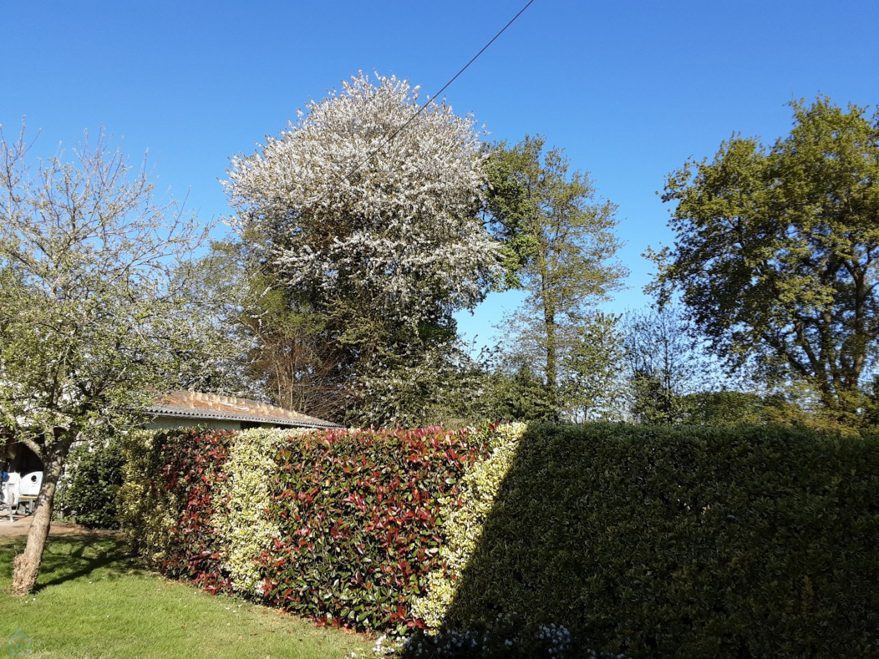 vente Maison de campagne Naizin - Photo 18