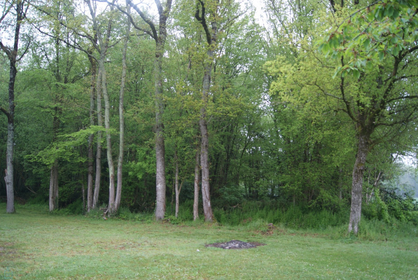 vente Terrain constructible Montignac Charente - Photo 3