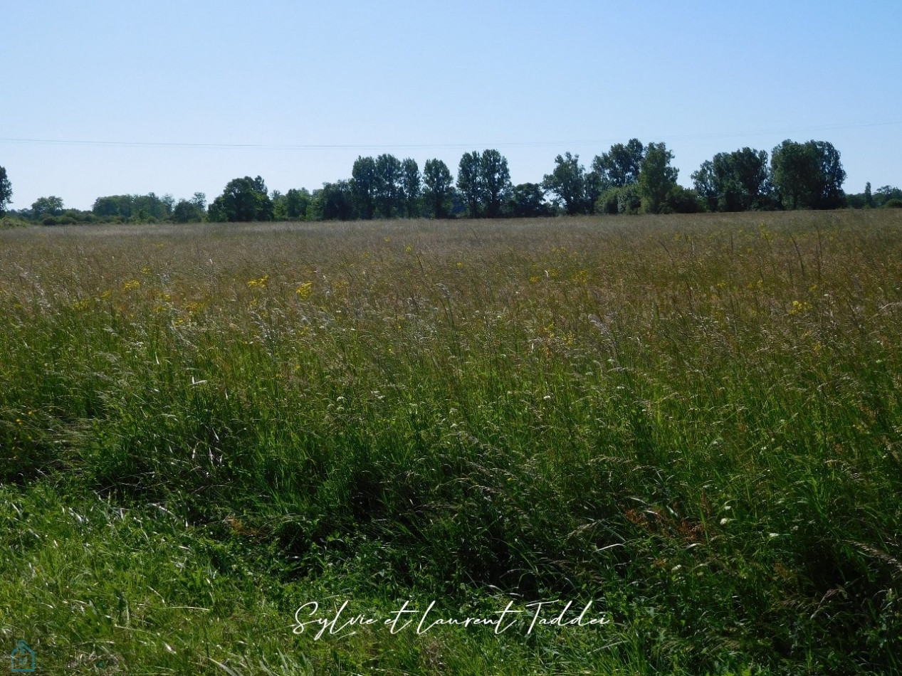 vente Propriété Soumeras - Photo 2