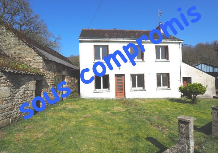 vente Maison en pierre Ploerdut