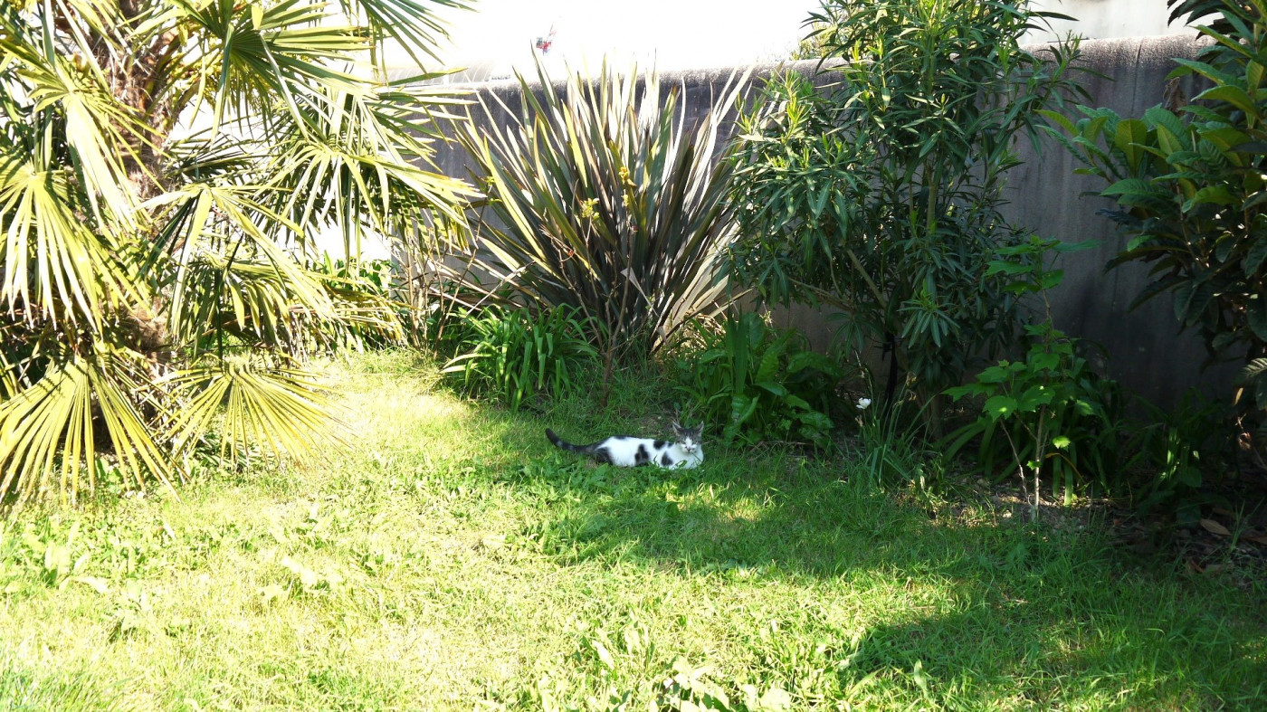 vente Appartement La Rochelle - Photo 8