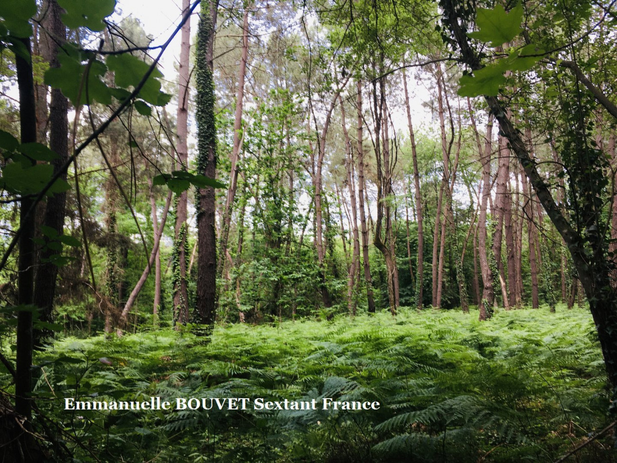 vente Terrain Saint Sauveur - Photo 3