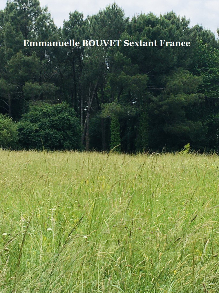 vente Terrain Saint Sauveur - Photo 5