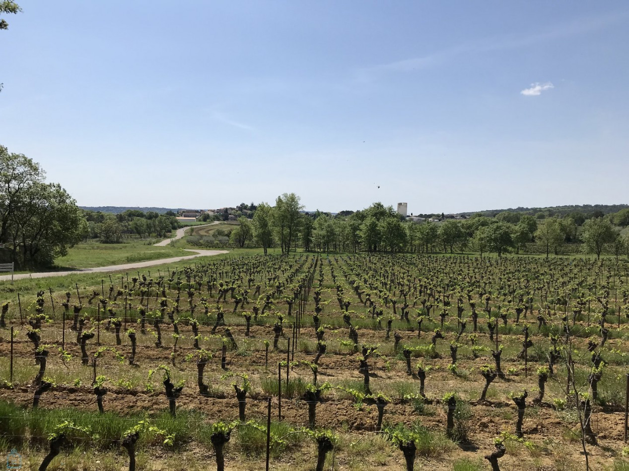 vente Maison Montignargues - Photo 11