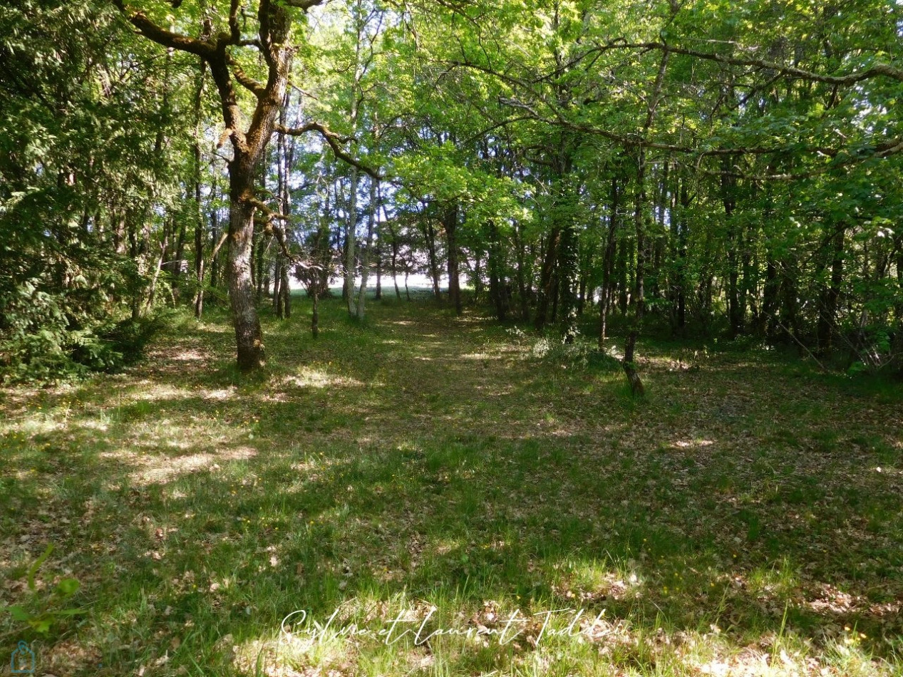 vente Maison individuelle Garat - Photo 2