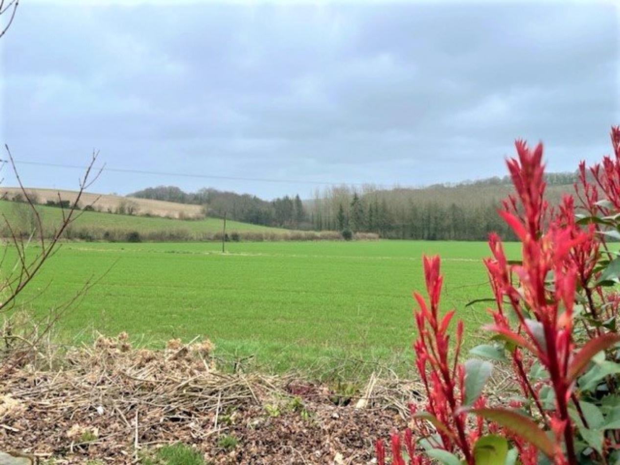 vente Ferme Lothey - Photo 23