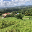 vente Terrain constructible Le Lamentin