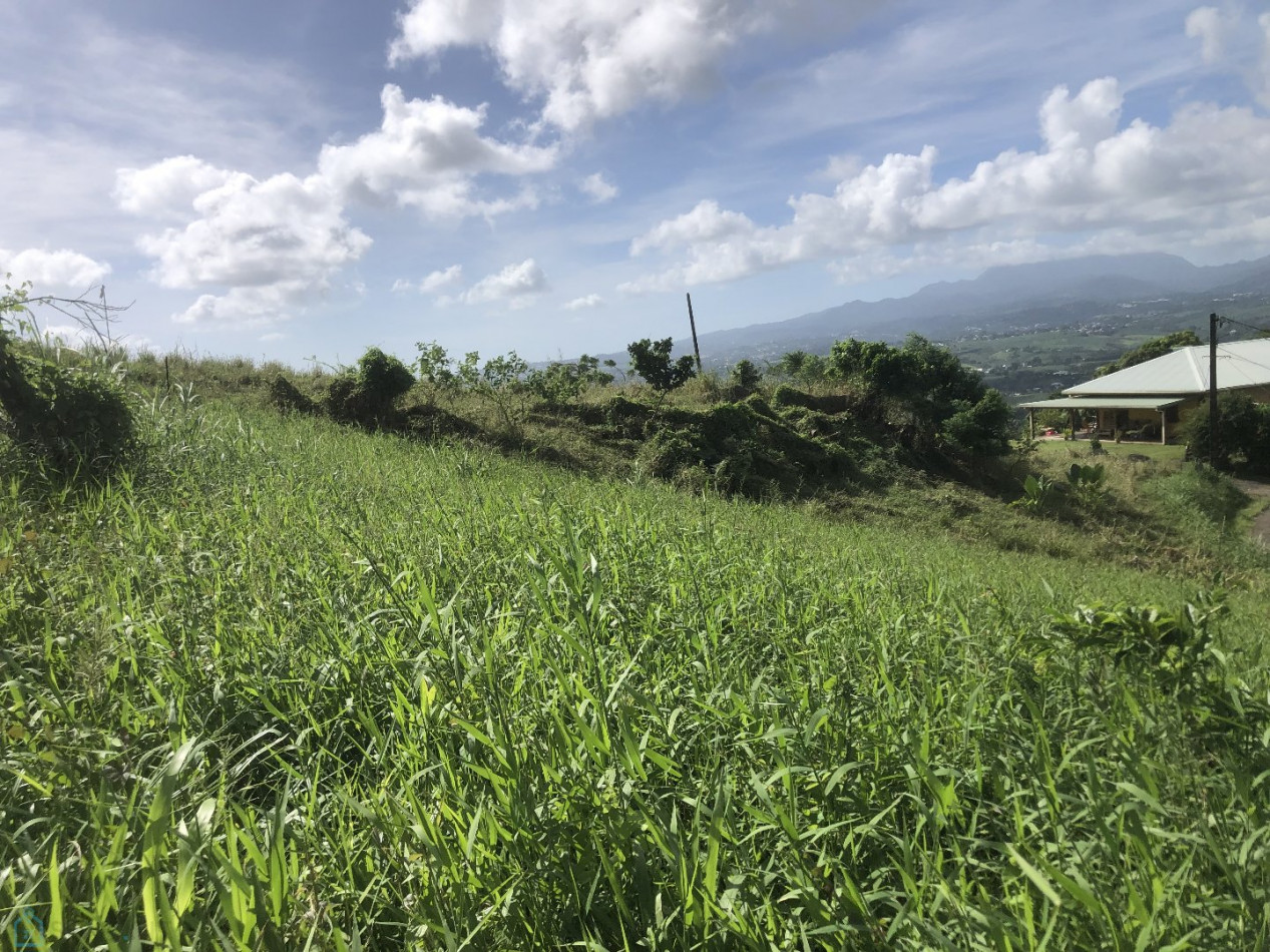 vente Terrain constructible Le Lamentin - Photo 4