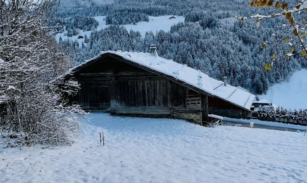 vente  Le Grand Bornand